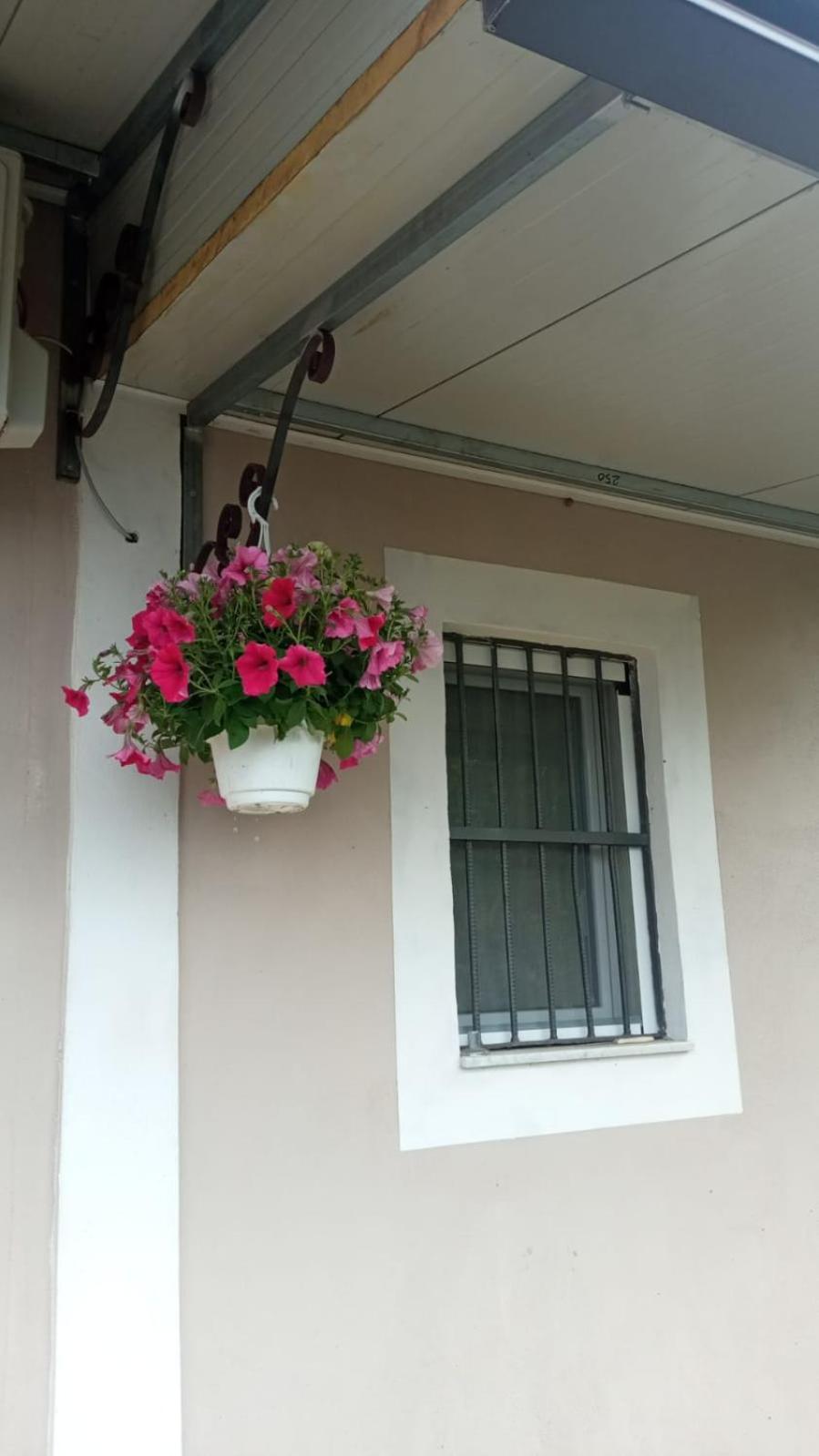 A Casa Di Nonna Anna Vila Ercolano Exterior foto